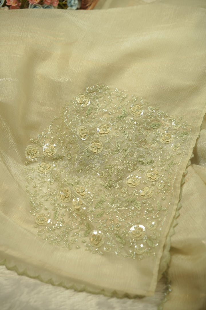 Crushed Organza Saree TSA5831