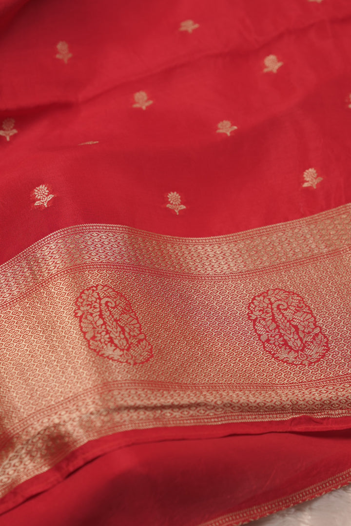 Semi Banarasi Salwar TSS01619