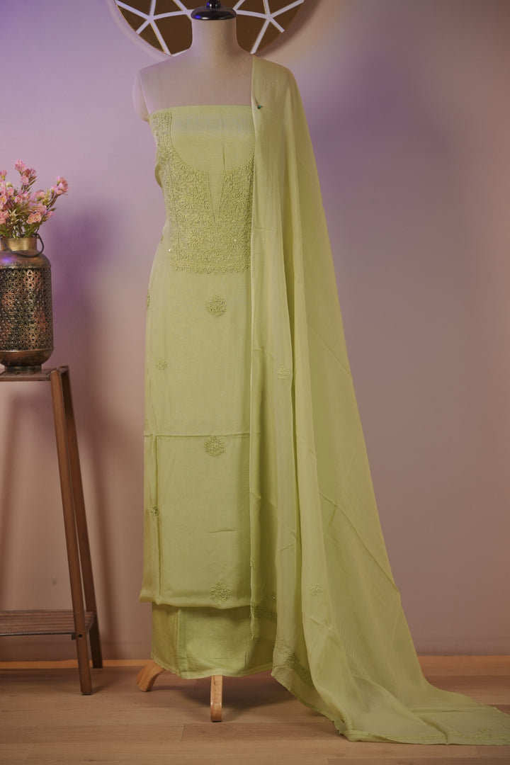 Organza Salwar TSS01681