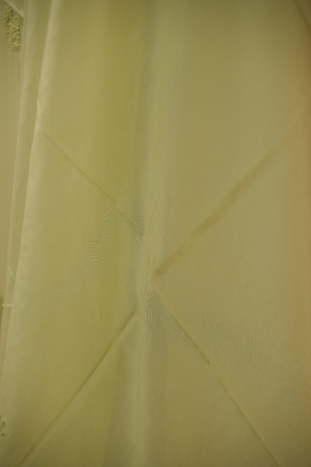 Organza Salwar TSS01681