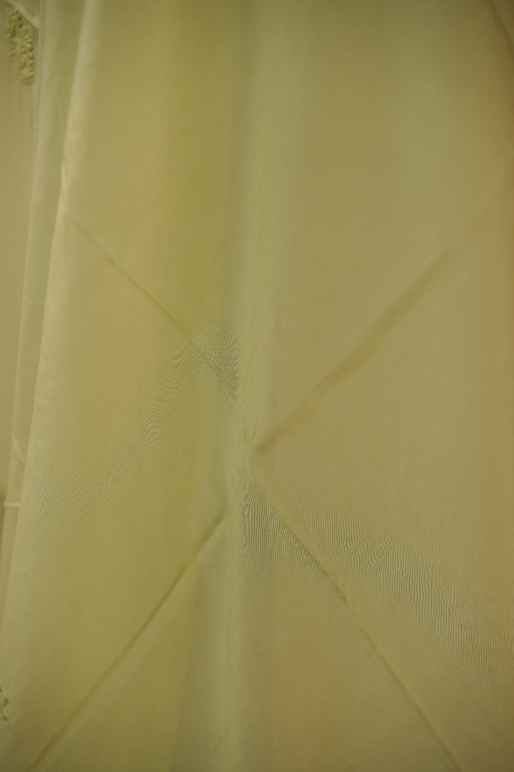 Organza Salwar TSS01681