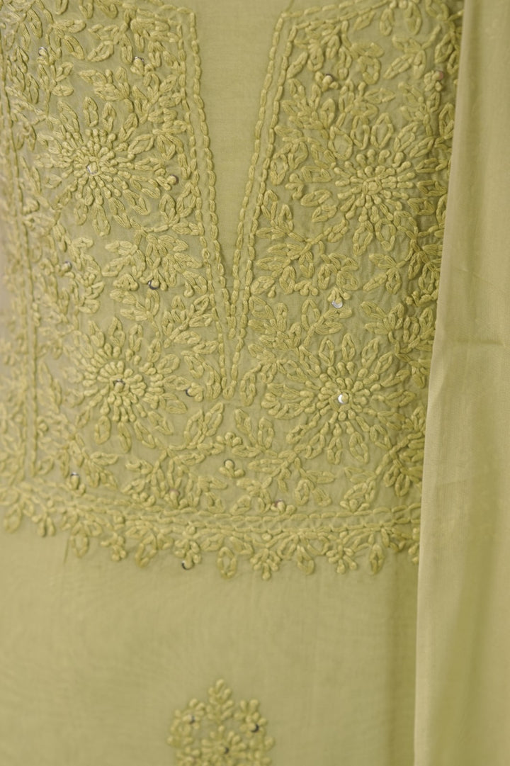 Organza Salwar TSS01681