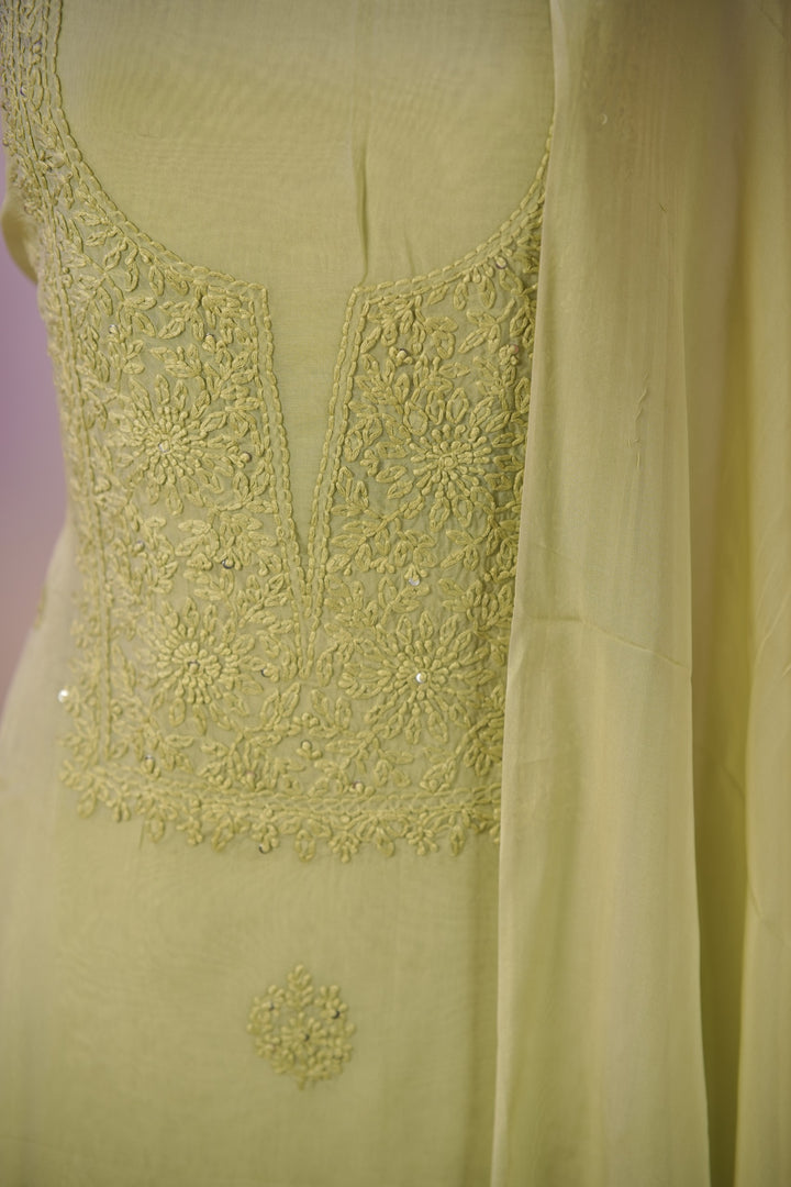 Organza Salwar TSS01681