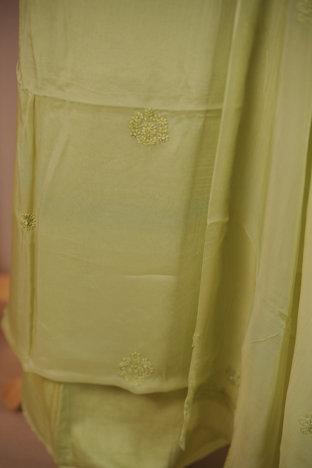 Organza Salwar TSS01681