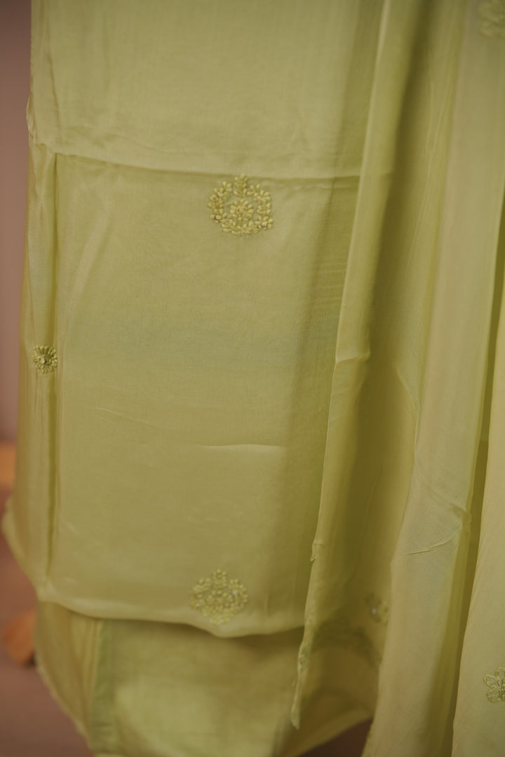 Organza Salwar TSS01681