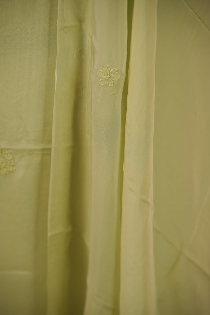 Organza Salwar TSS01681