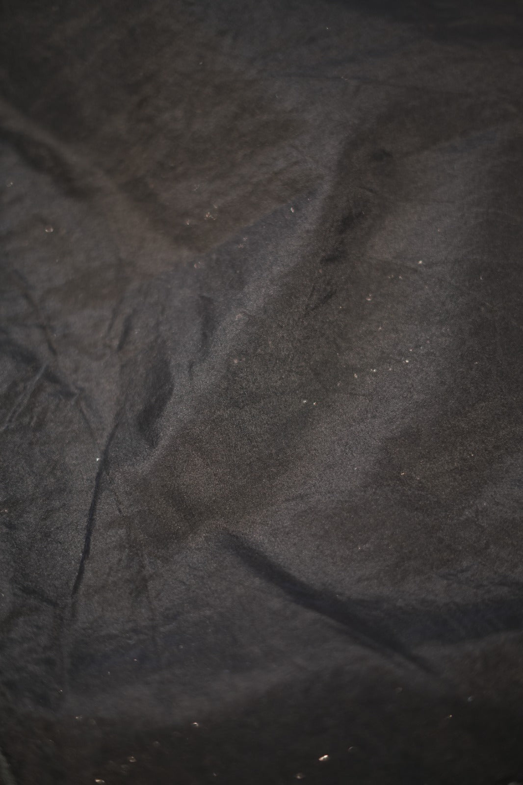 Turkish Organza Saree TSA5968