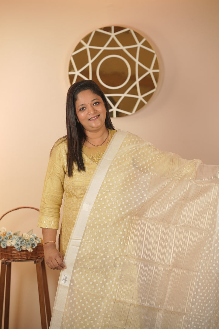 Organza Dupatta TDA5971