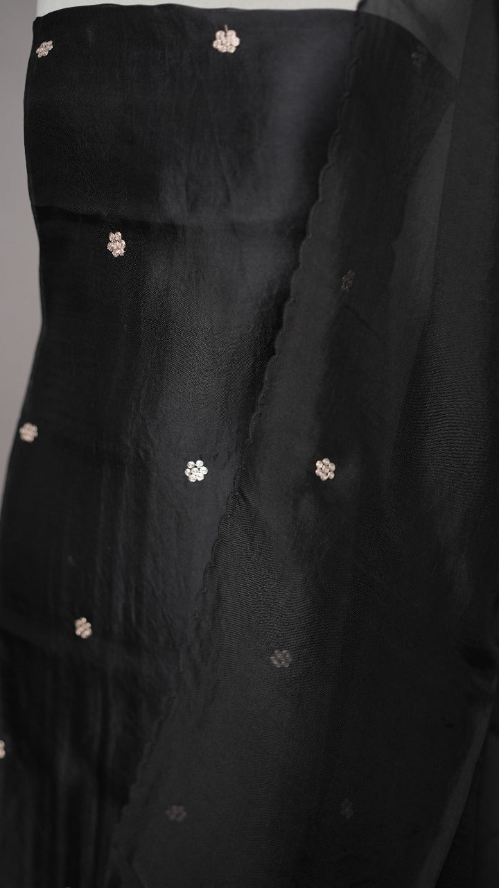 Organza Salwar TSS3516