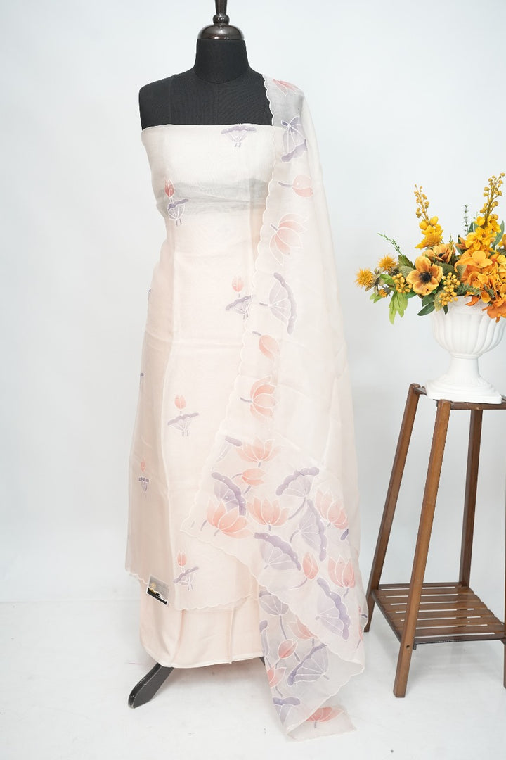 Organza Salwar TSS3218