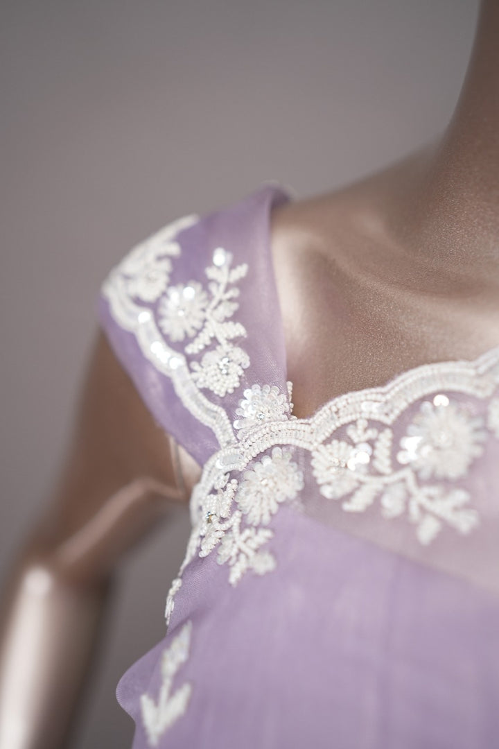 Tissue Organza Saree TSA3434