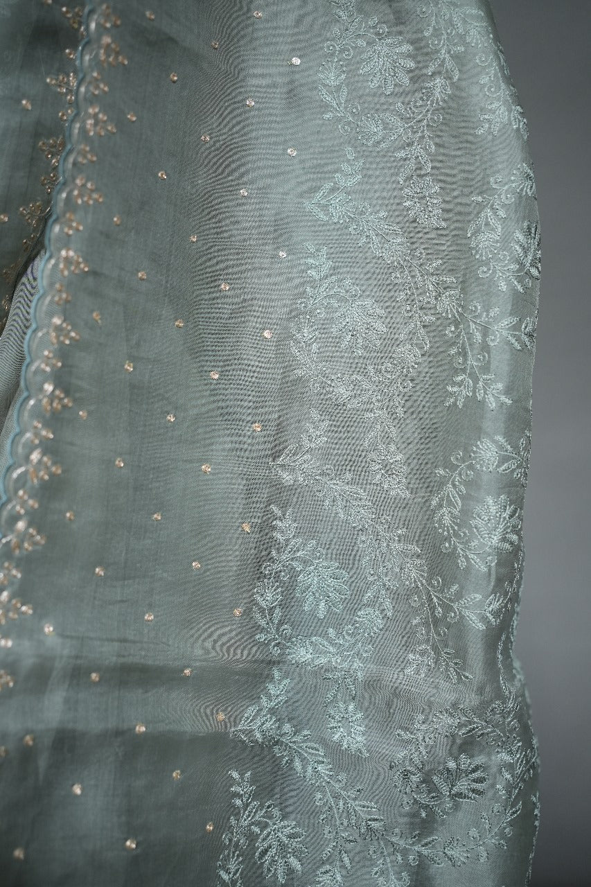 Organza Saree TSA1954