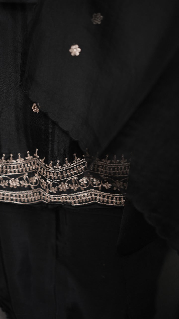 Organza Salwar TSS3516