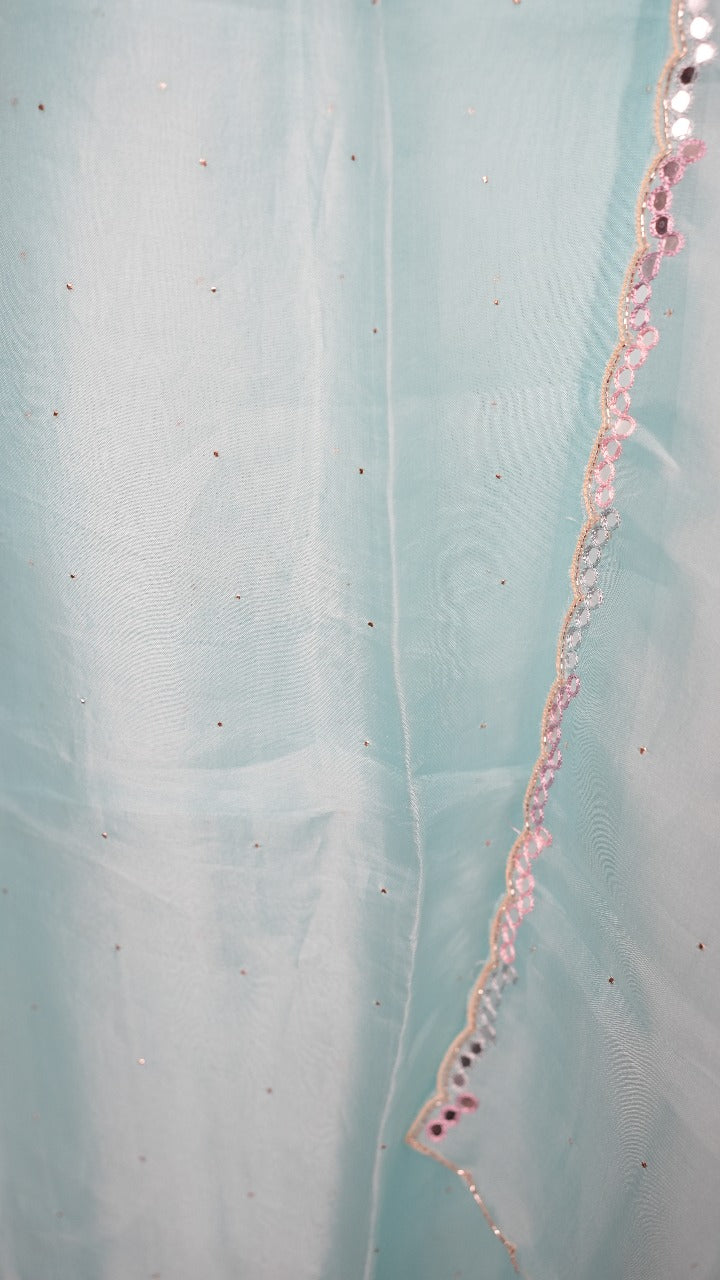 Organza Salwar TSS3559