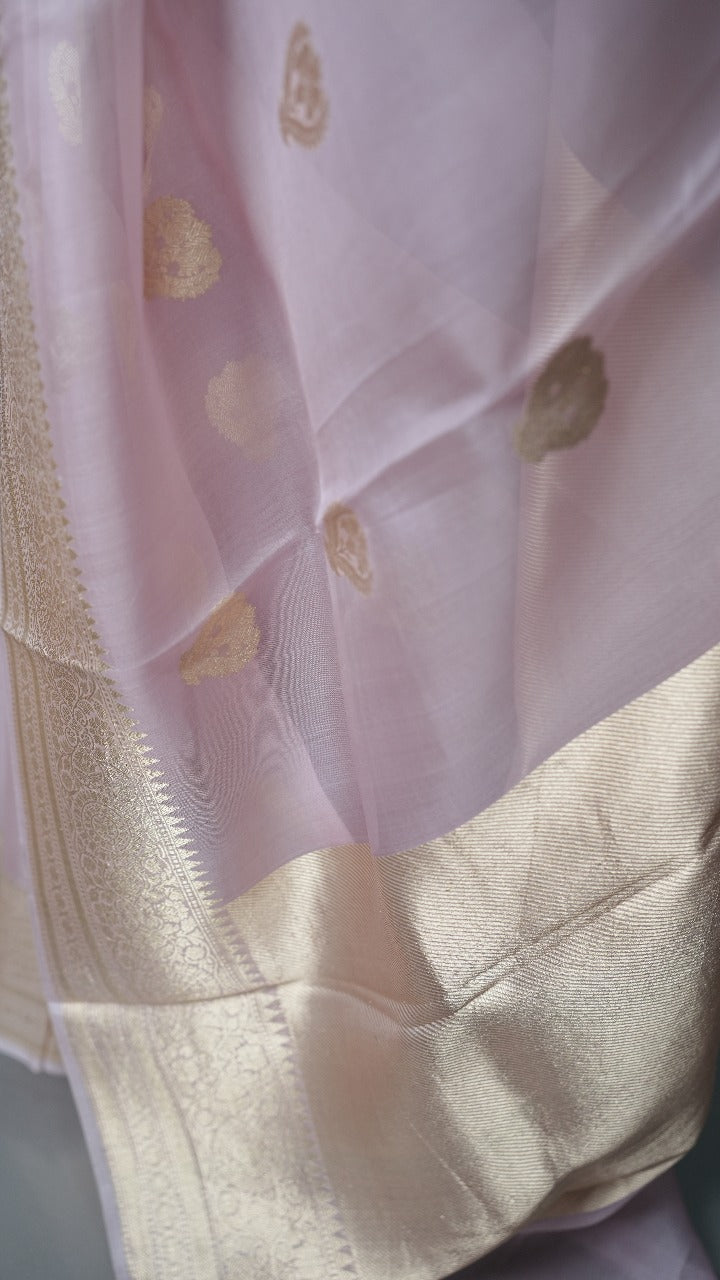 Organza Saree TSA3560