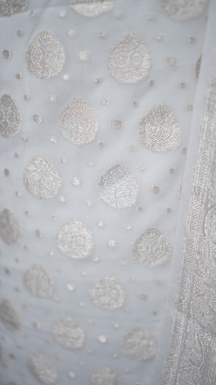 Banarasi  Salwar TSS3523