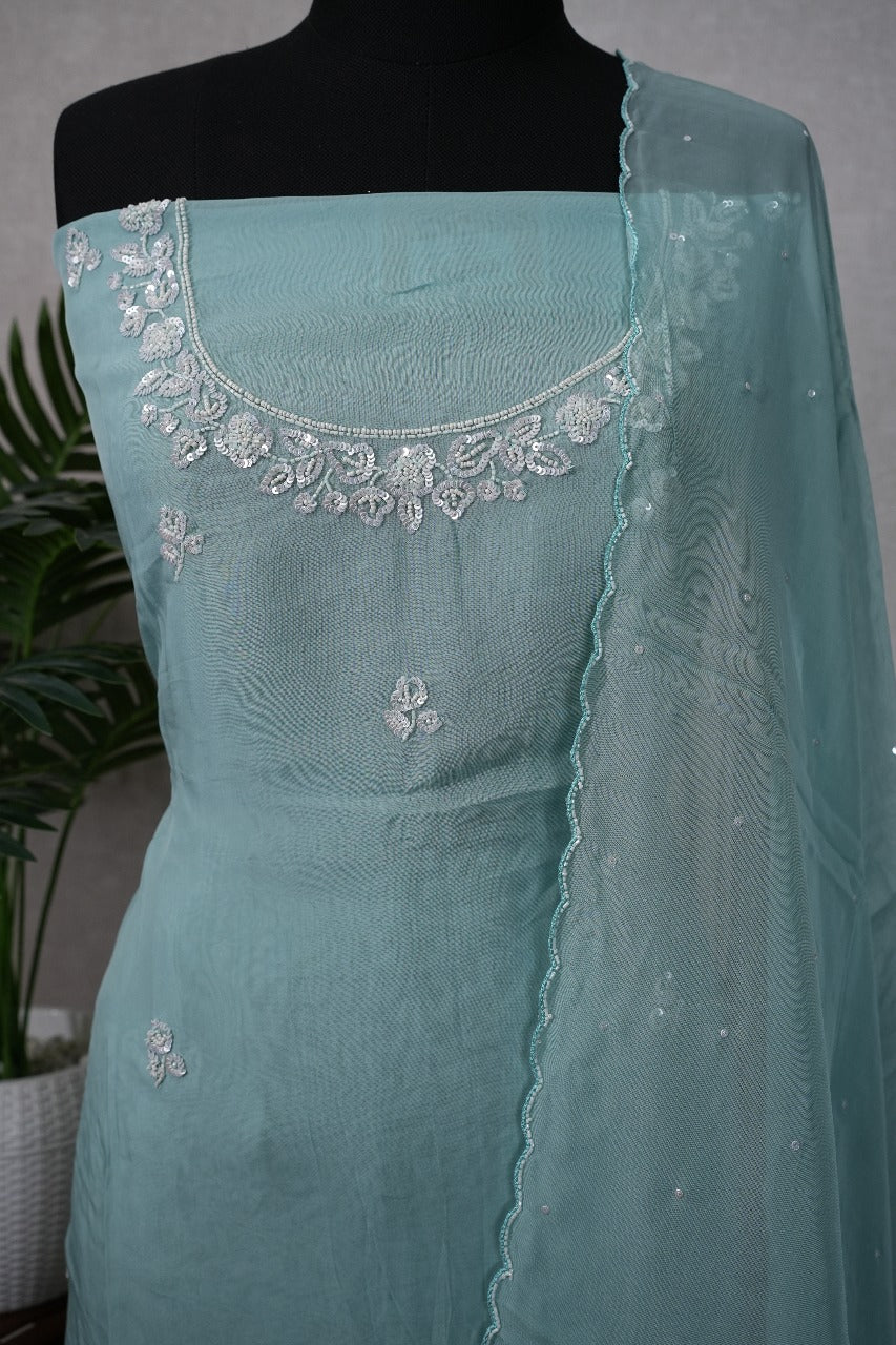 Organza Salwar TSS2450