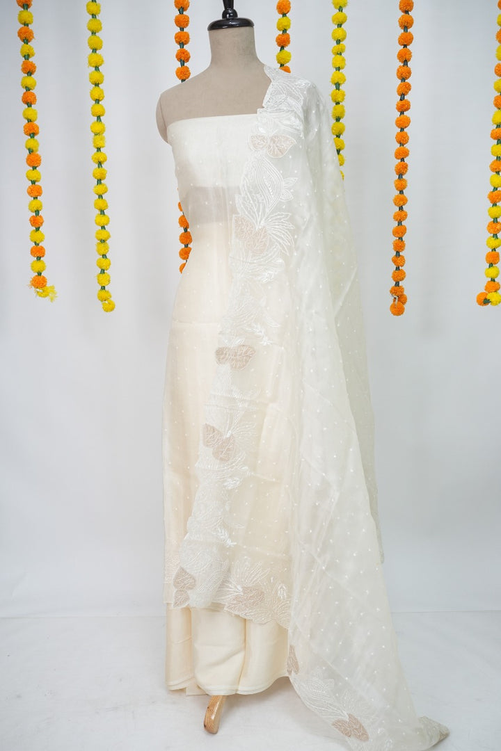Pure Organza Salwar TSS3155
