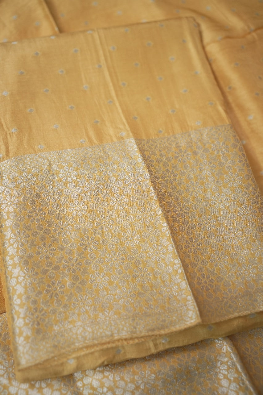 Banarasi Salwar TSS3269