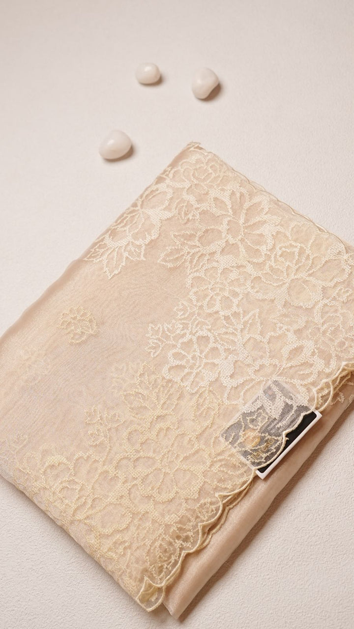 Glass Organza Saree TSA4284