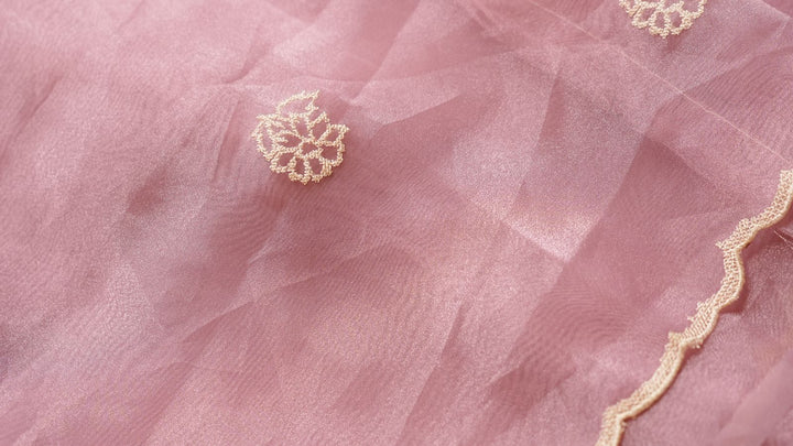 Glass Organza Saree TSA4284