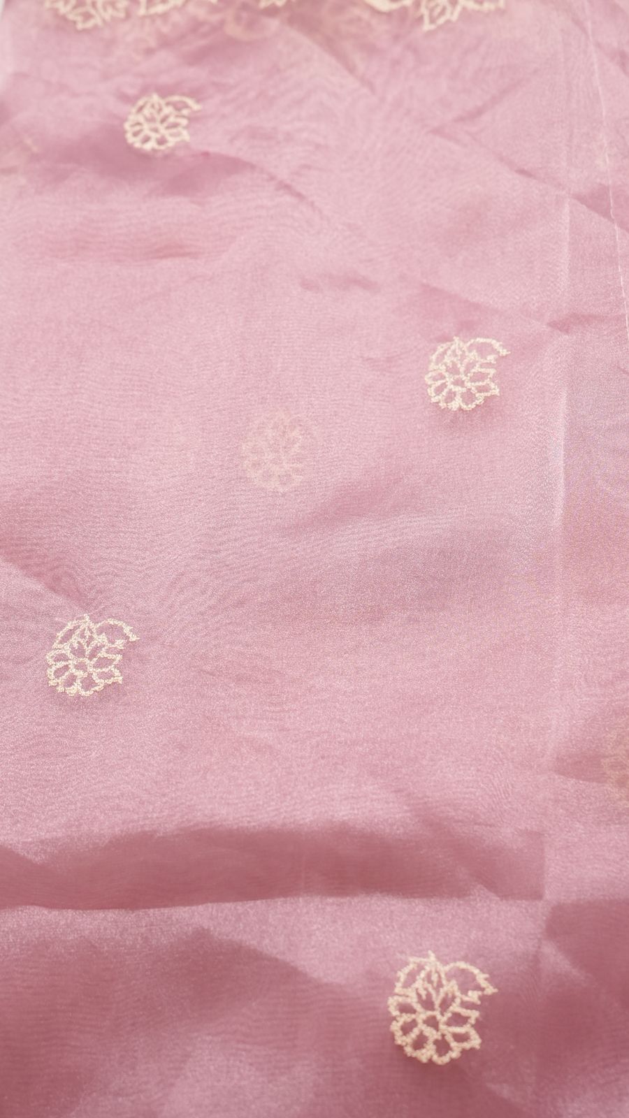 Glass Organza Saree TSA4284