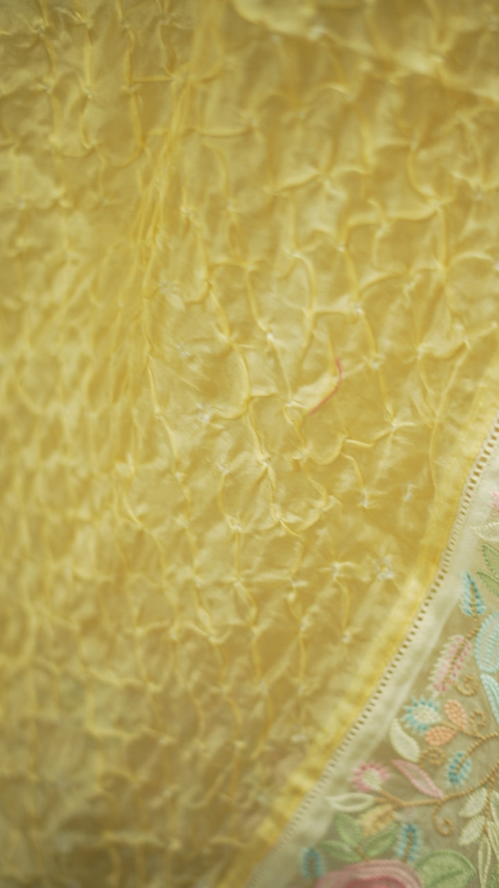 Organza Saree TSA6086