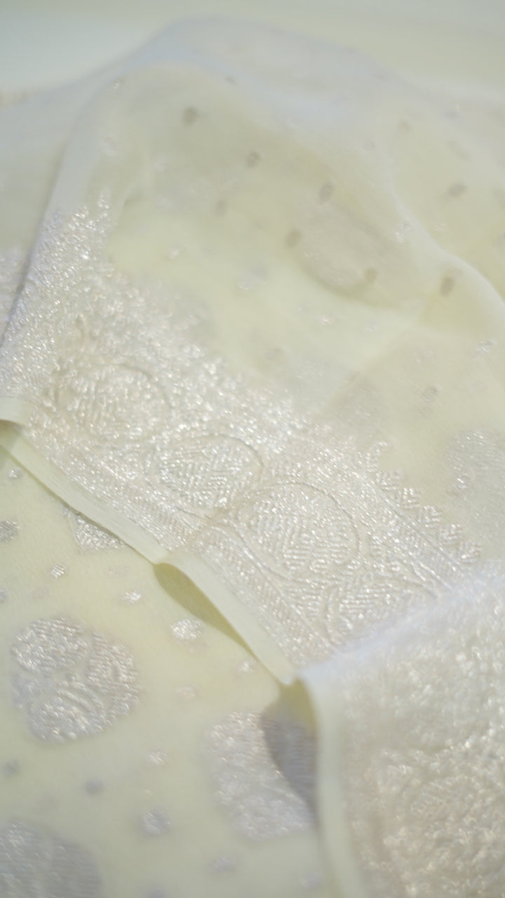 Banarasi Salwar TSS5912
