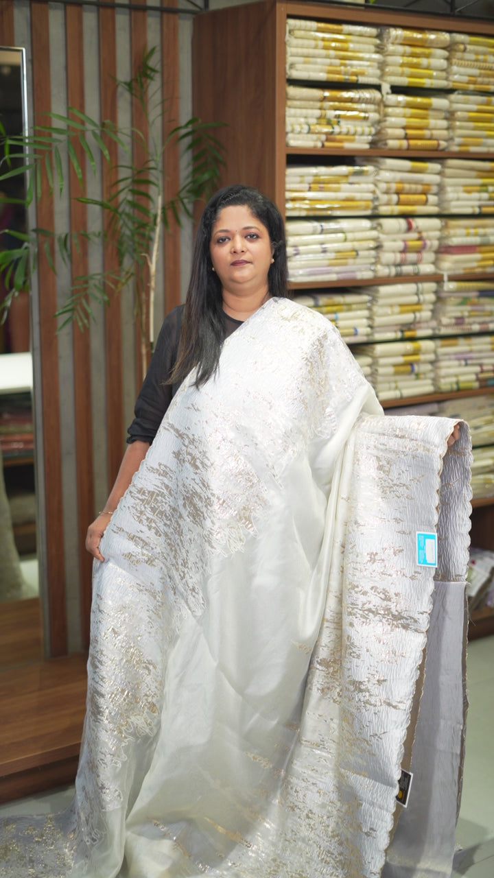 Turkish Organza Saree TSA5910